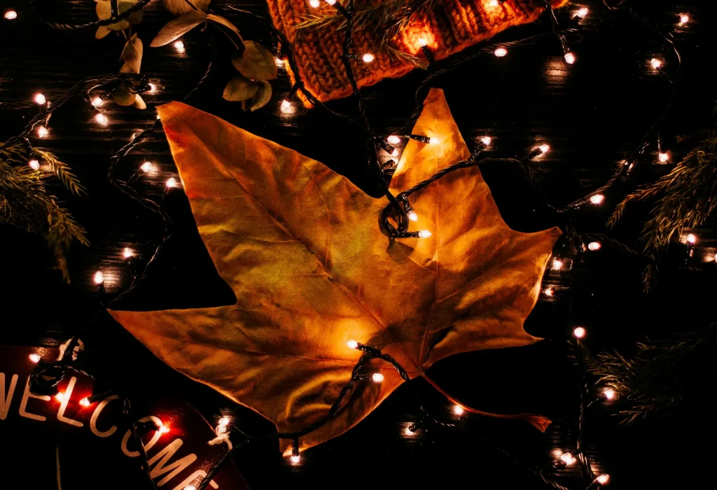 tree-leave-with-small-lights